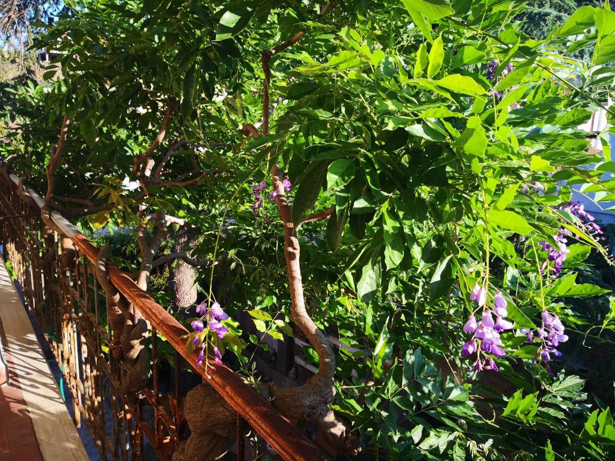 Zia Chiarina Bed & Breakfast San Nicolo Gerrei Bagian luar foto
