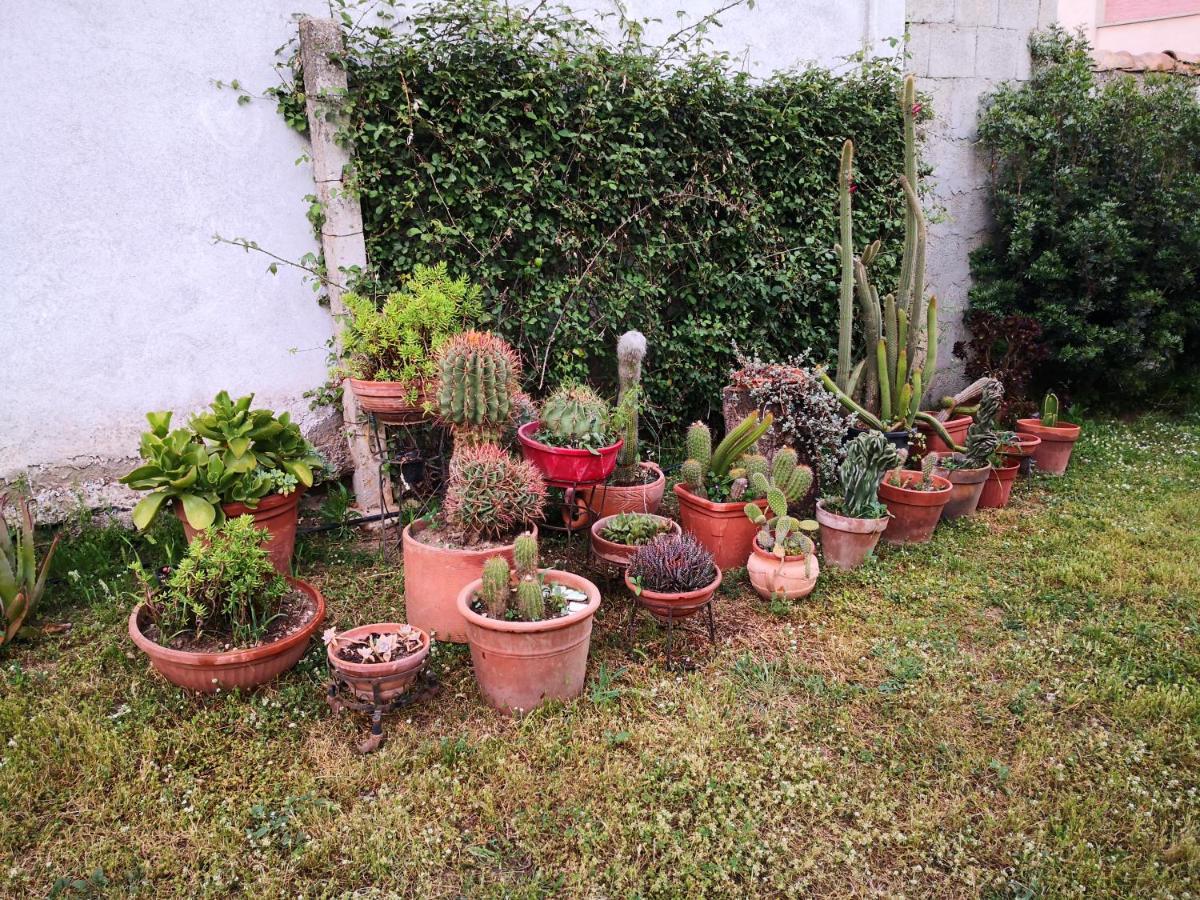 Zia Chiarina Bed & Breakfast San Nicolo Gerrei Bagian luar foto