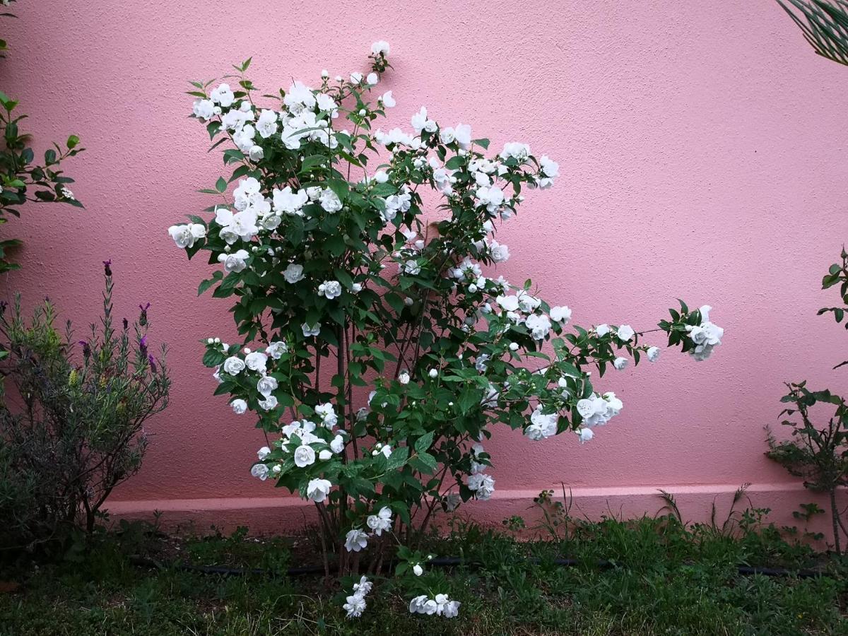 Zia Chiarina Bed & Breakfast San Nicolo Gerrei Bagian luar foto