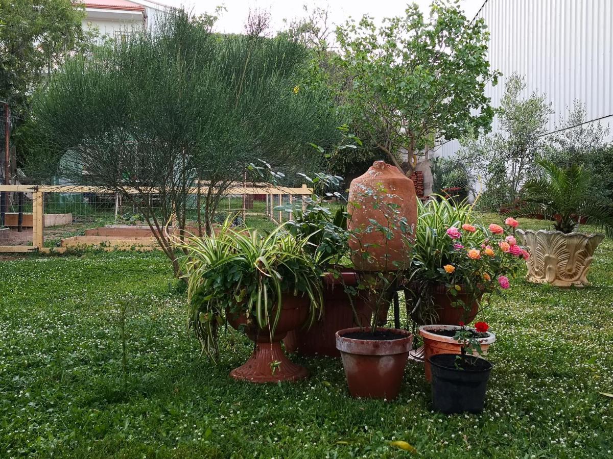 Zia Chiarina Bed & Breakfast San Nicolo Gerrei Bagian luar foto