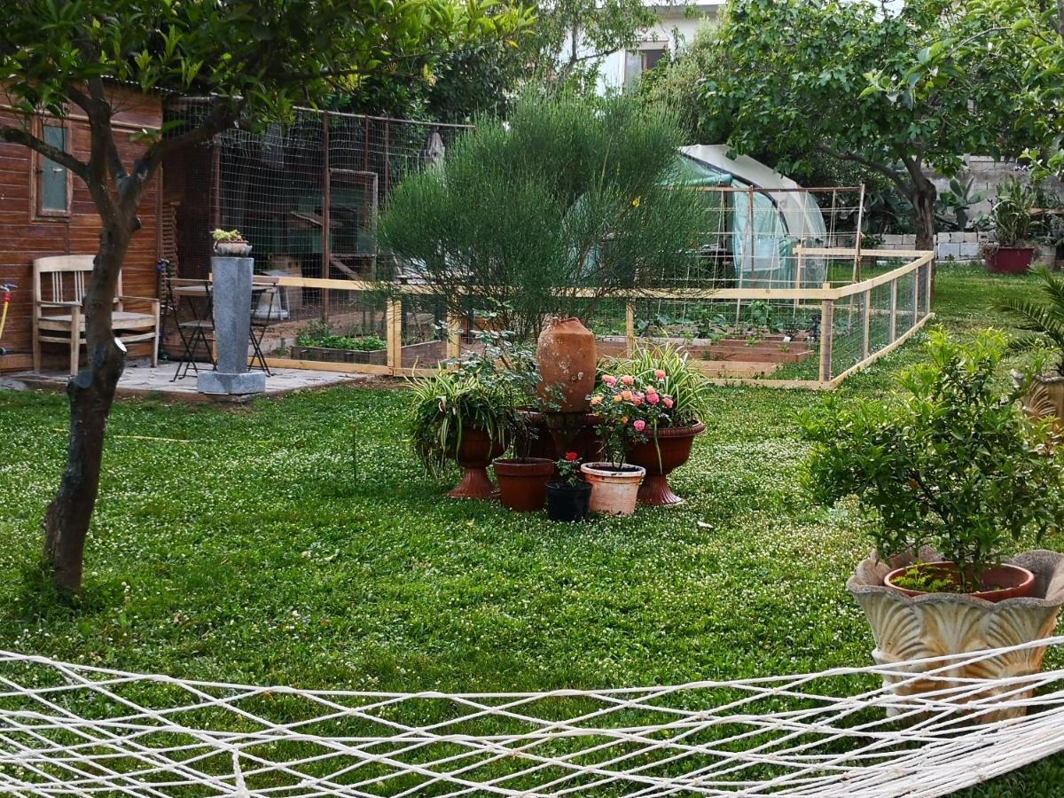 Zia Chiarina Bed & Breakfast San Nicolo Gerrei Bagian luar foto