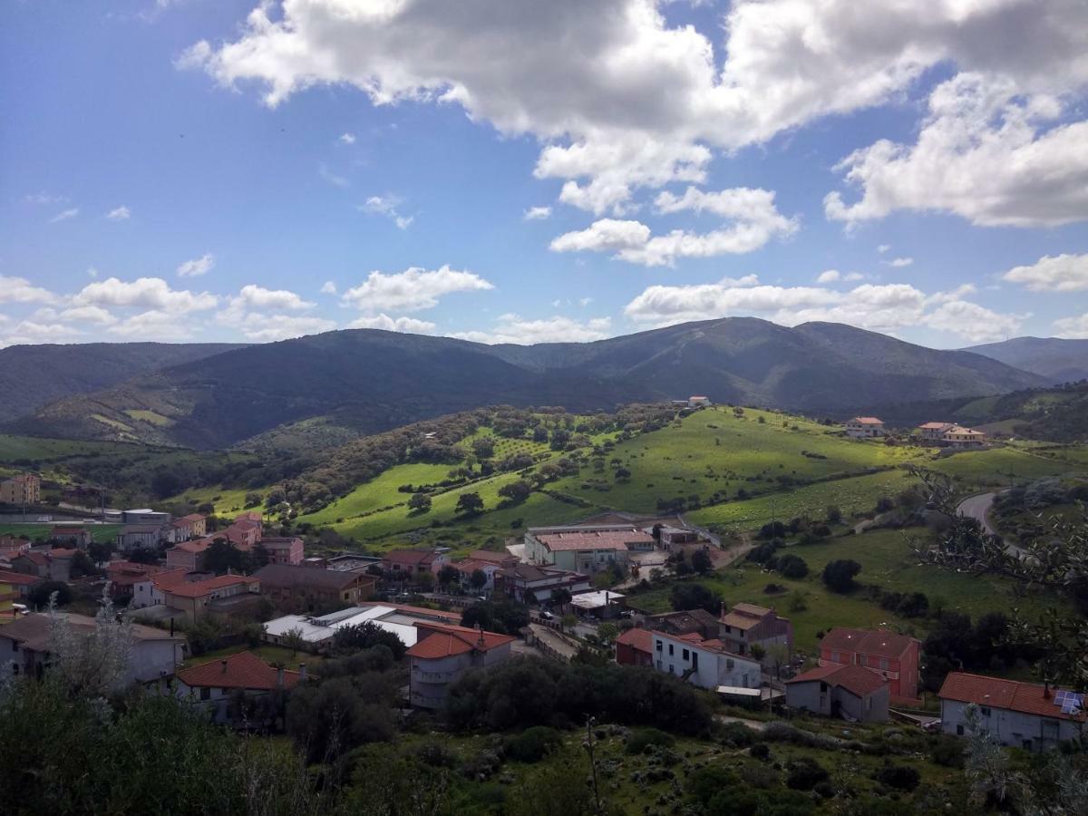 Zia Chiarina Bed & Breakfast San Nicolo Gerrei Bagian luar foto