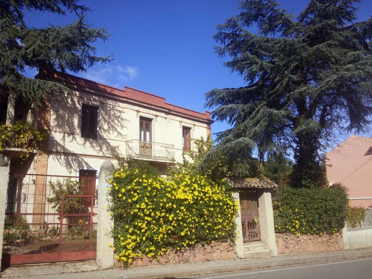 Zia Chiarina Bed & Breakfast San Nicolo Gerrei Bagian luar foto
