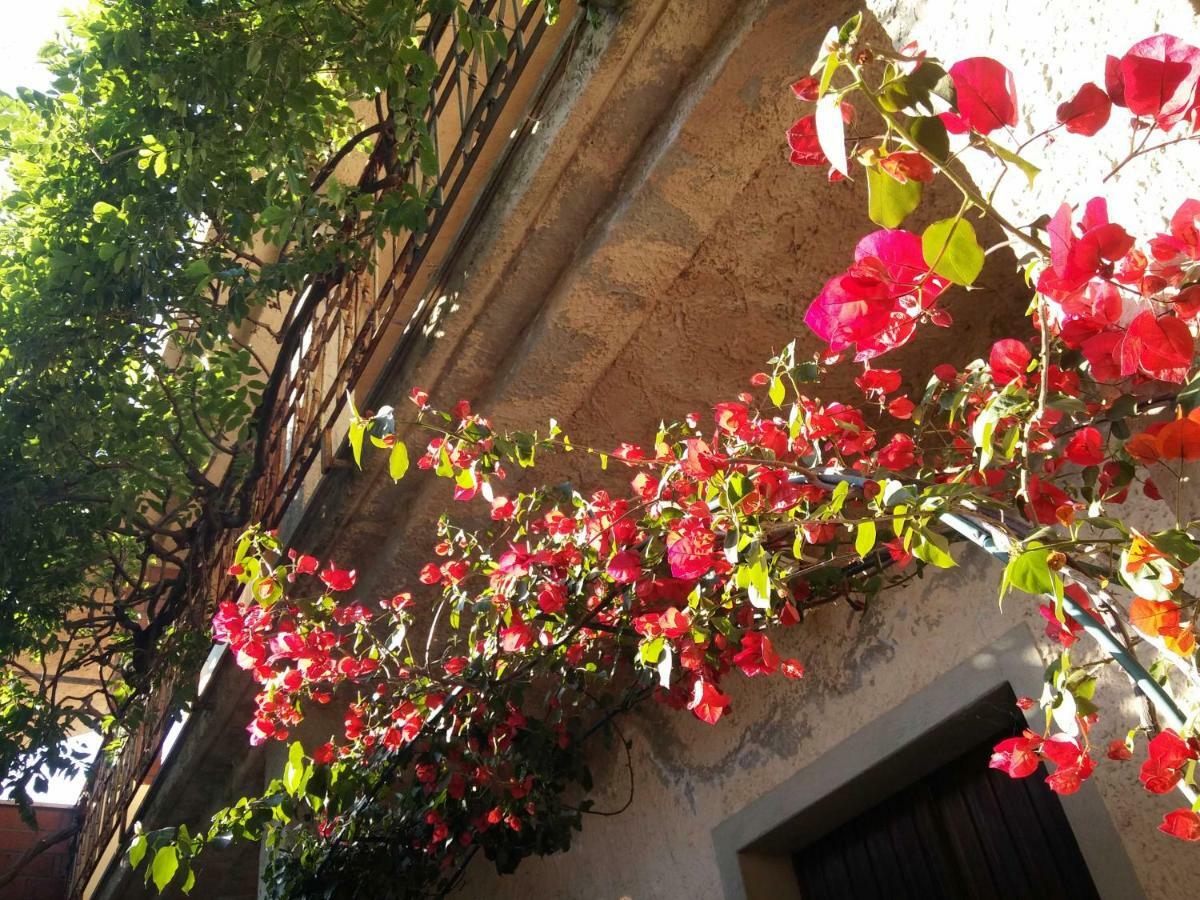 Zia Chiarina Bed & Breakfast San Nicolo Gerrei Bagian luar foto
