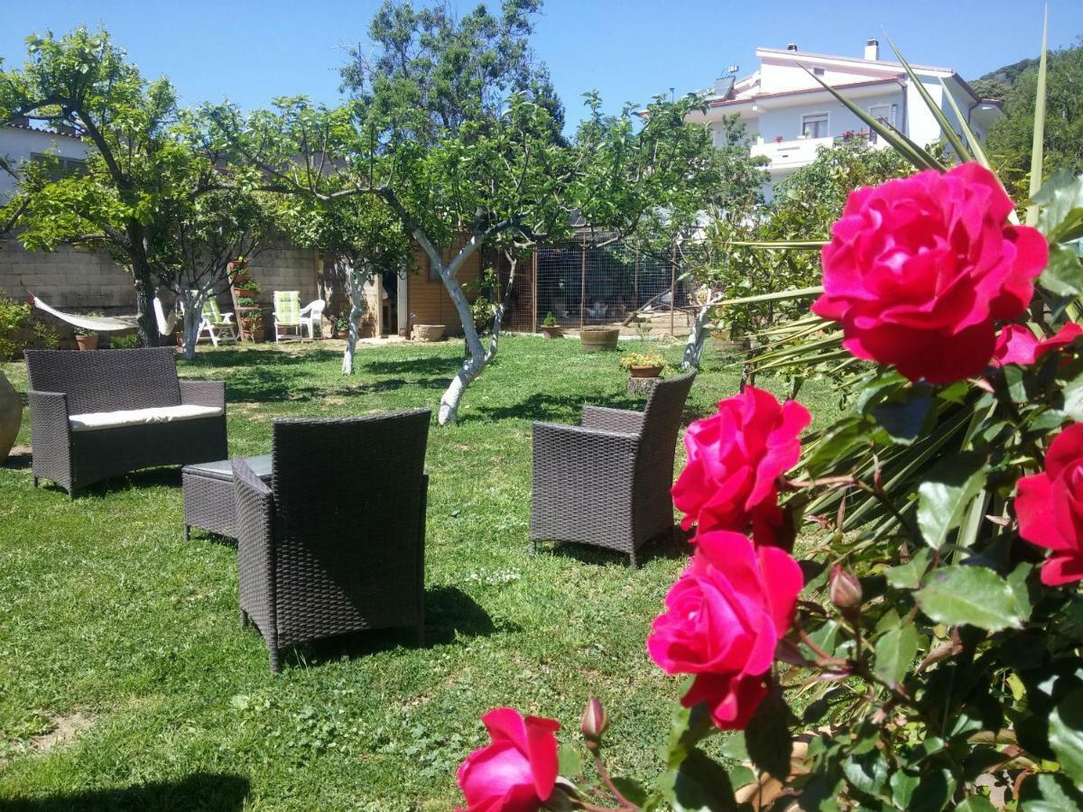 Zia Chiarina Bed & Breakfast San Nicolo Gerrei Bagian luar foto