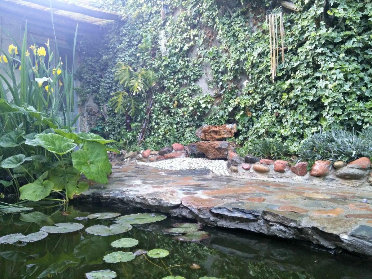 Zia Chiarina Bed & Breakfast San Nicolo Gerrei Bagian luar foto