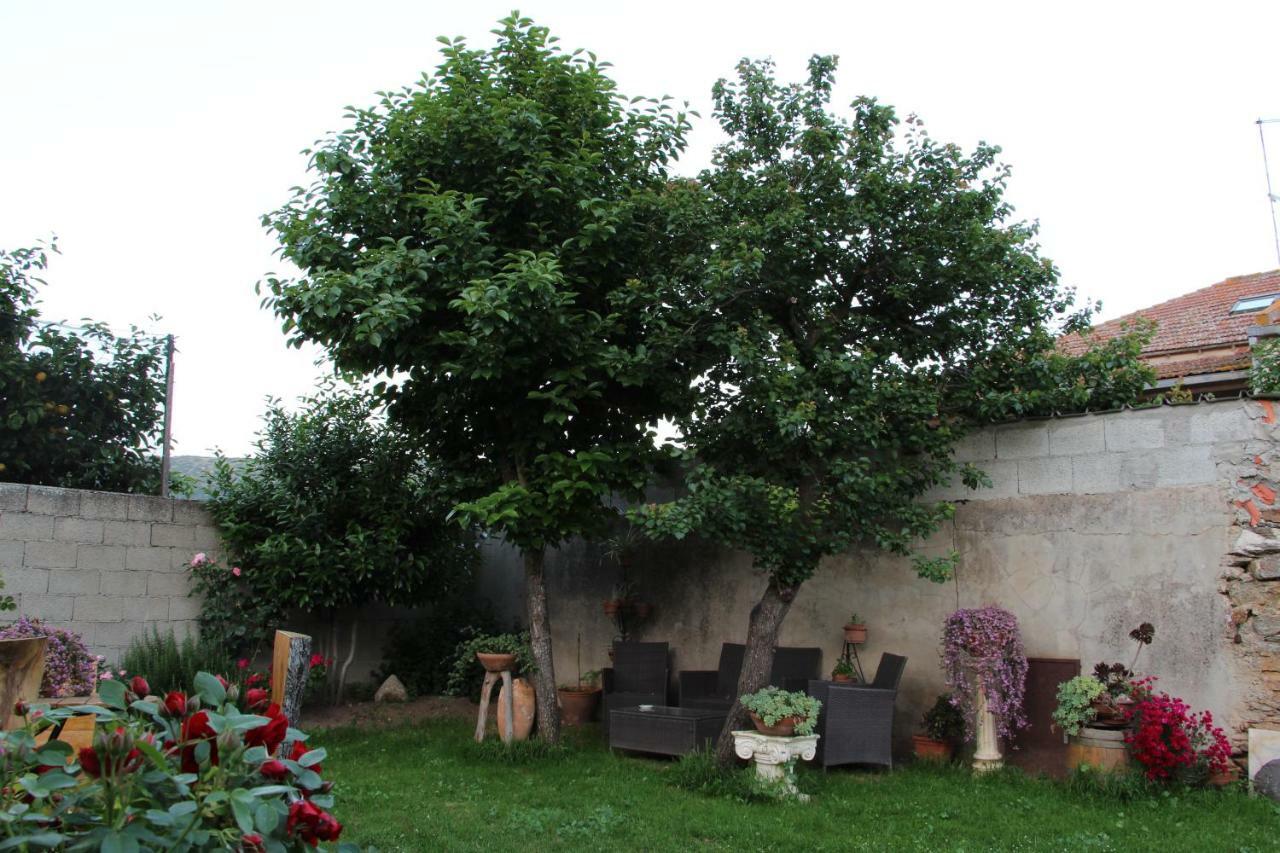 Zia Chiarina Bed & Breakfast San Nicolo Gerrei Bagian luar foto