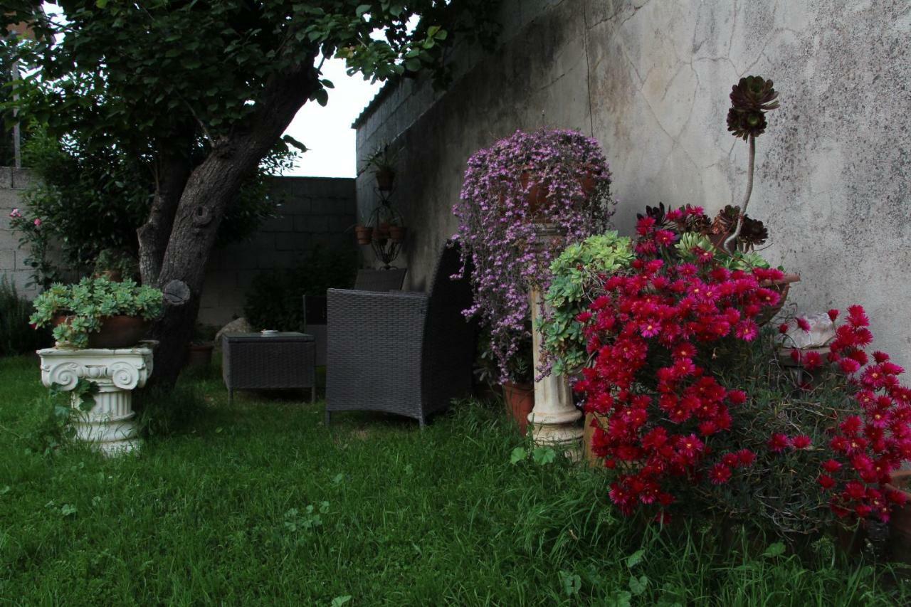 Zia Chiarina Bed & Breakfast San Nicolo Gerrei Bagian luar foto